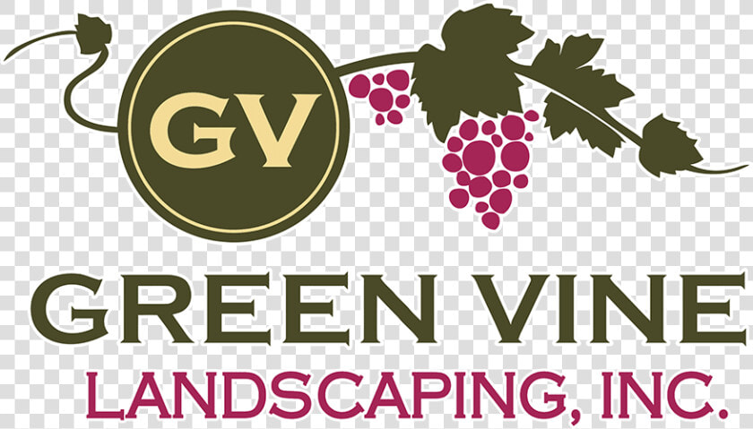 Green Vine Landscaping Logo   Graphic Design  HD Png DownloadTransparent PNG