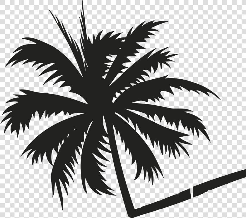 Transparent Palmeira Png   Coconut Tree Vector Background  Png DownloadTransparent PNG