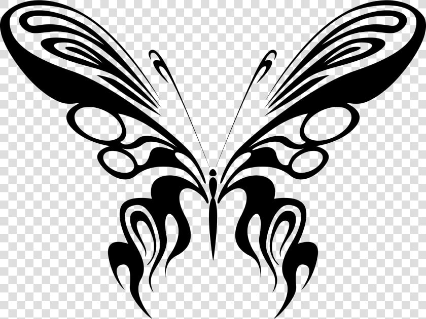 Butterfly Line Art 17 Clip Arts   Black White Butterfly Drawings  HD Png DownloadTransparent PNG