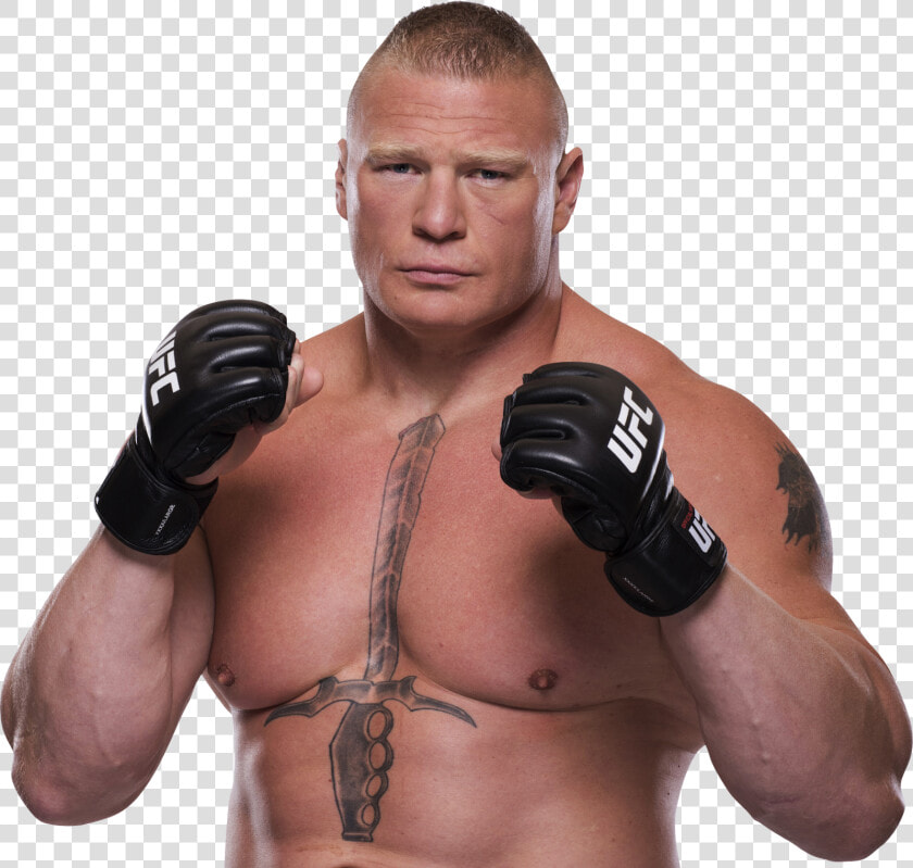 Brock Lawn And Pest Control Inc Is A Family Owned And   Brock Lesnar Hd Wallpaper 2018  HD Png DownloadTransparent PNG