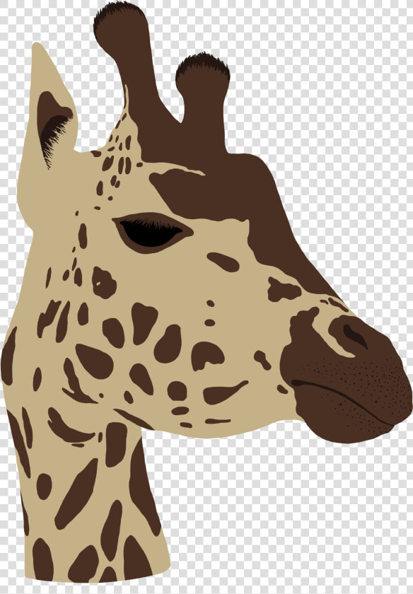 Transparent Giraffe Head Png   Giraffe  Png DownloadTransparent PNG