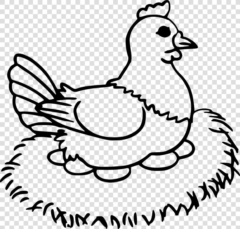 Collection Of Free Chick Drawing Hen Download On Ui  HD Png DownloadTransparent PNG