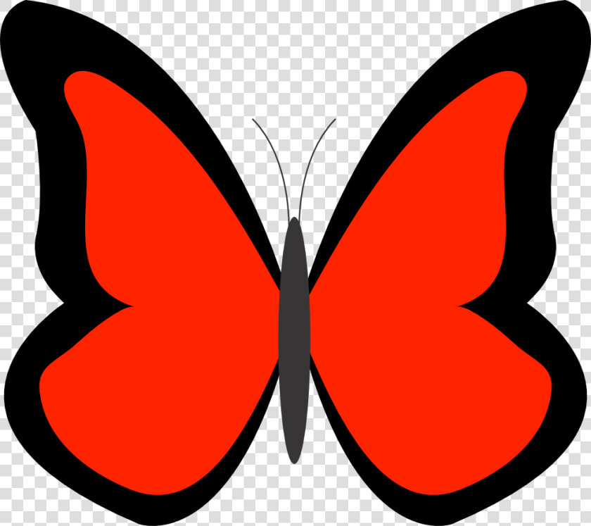 Transparent Borboleta Png   Blue Butterfly Clipart  Png DownloadTransparent PNG