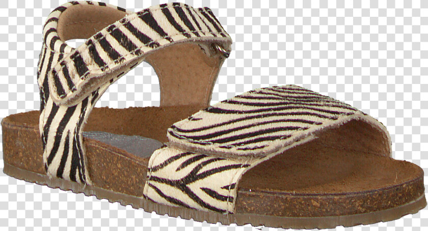 Brown Clic Sandals Cl Grass   Slide Sandal  HD Png DownloadTransparent PNG