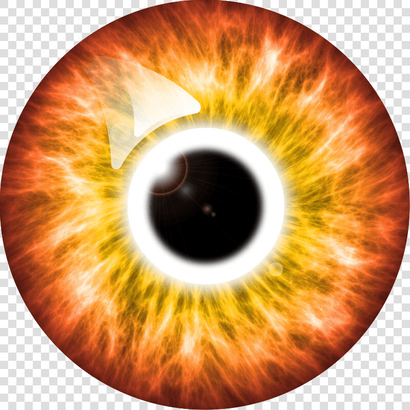 Pupil   Png Download   Iris Verde Png  Transparent PngTransparent PNG