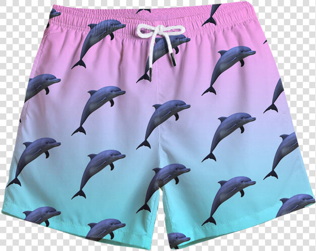 Dolphinz Swim Trunks   Swimming Trunks Cartoon Png  Transparent PngTransparent PNG