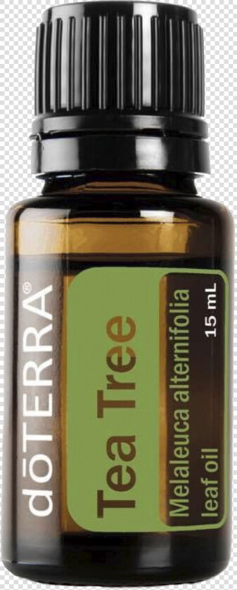 Doterra Grapefruit  HD Png DownloadTransparent PNG