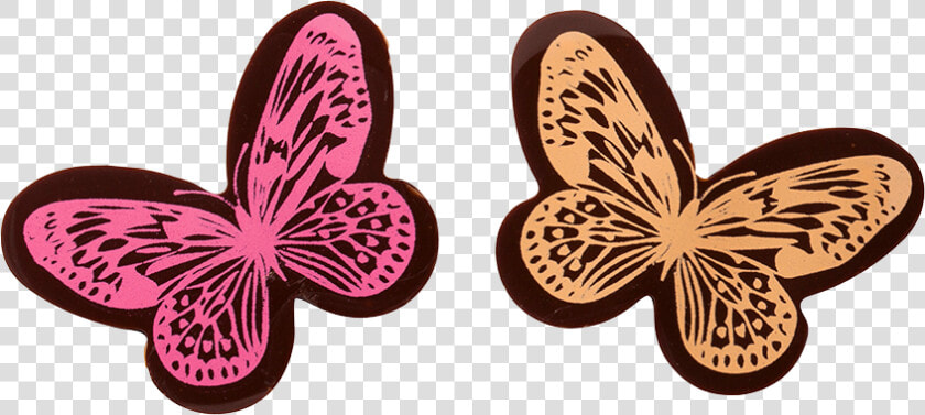 Brush footed Butterfly  HD Png DownloadTransparent PNG