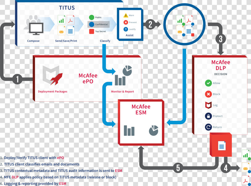 Mcafee illustration   Titus Classification Suite  HD Png DownloadTransparent PNG