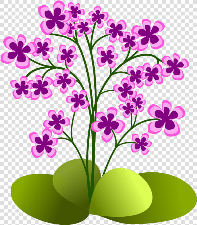 Small Flowers   Small Flower Plants Clipart  HD Png DownloadTransparent PNG