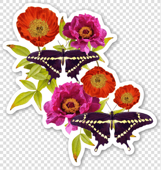 Botanic Vii Sticker   Bouquet  HD Png DownloadTransparent PNG