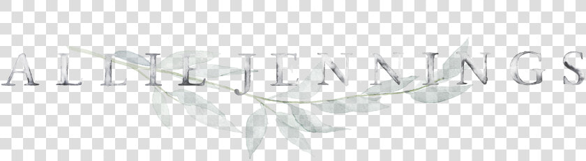 Allie Jennings Photography   Bay Laurel  HD Png DownloadTransparent PNG