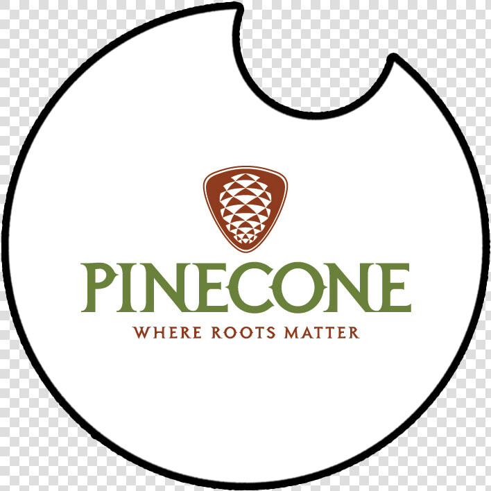 Pinecone  HD Png DownloadTransparent PNG