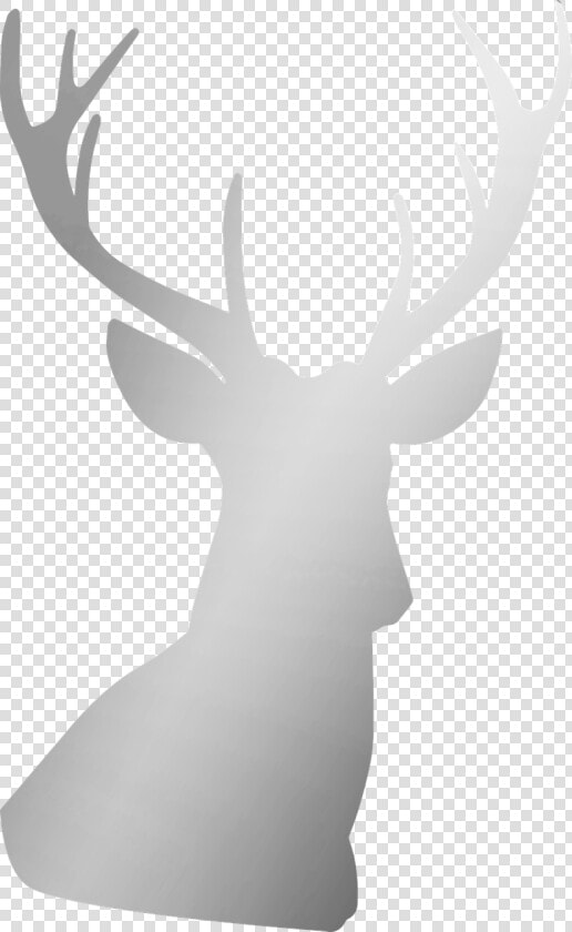 Silver Deer Antler Free Picture   Deer  HD Png DownloadTransparent PNG