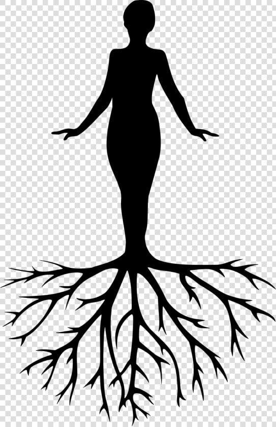 Women Tree Yoga Free Photo   Meditation Silhouette  HD Png DownloadTransparent PNG