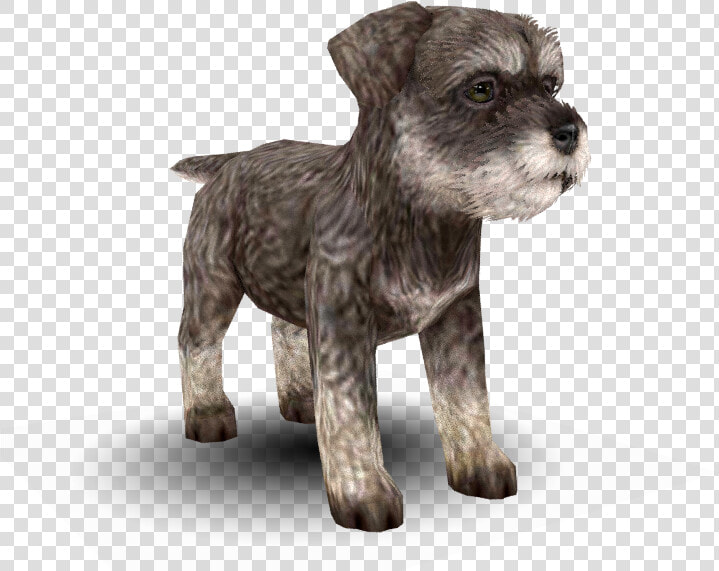 Download Zip Archive   Nintendogs And Cats Schnauzer  HD Png DownloadTransparent PNG