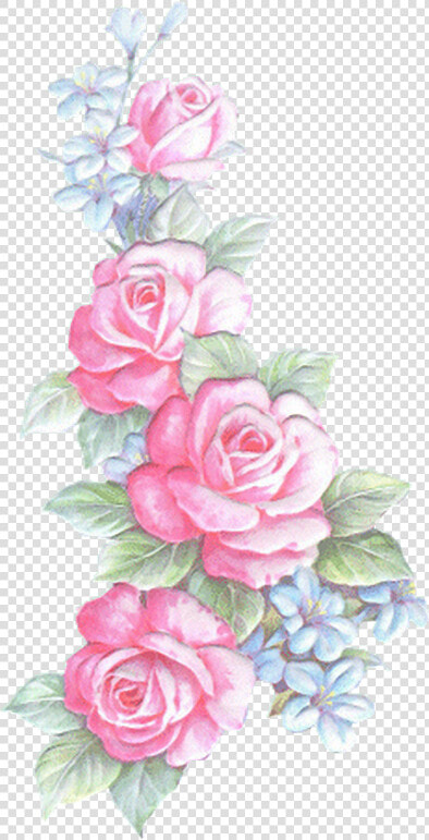 Desenhos De Rosas E Flores  HD Png DownloadTransparent PNG