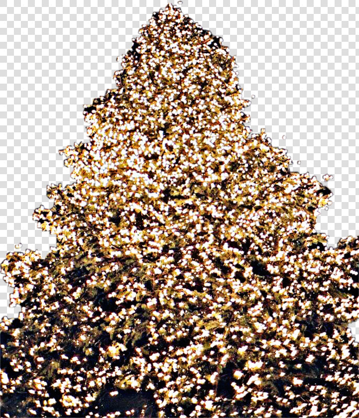  christmas  tree  lights  christmastree  freetoedit   Christmas Tree  HD Png DownloadTransparent PNG