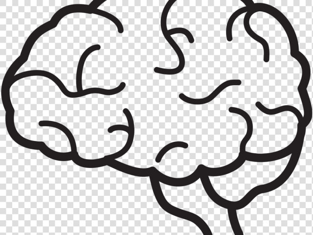 Brain Png Transparent Images   Brain Black And White Png  Png DownloadTransparent PNG