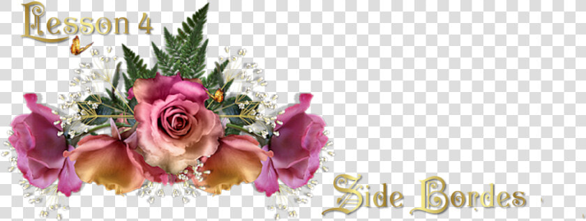 Header   Garden Roses  HD Png DownloadTransparent PNG