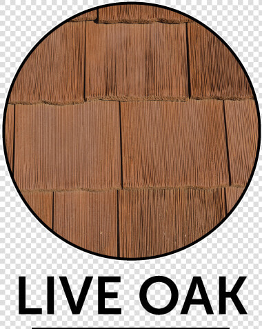 Cedur Live oak Color Sample   โลโก้ เมา ไม่ ขับ  HD Png DownloadTransparent PNG