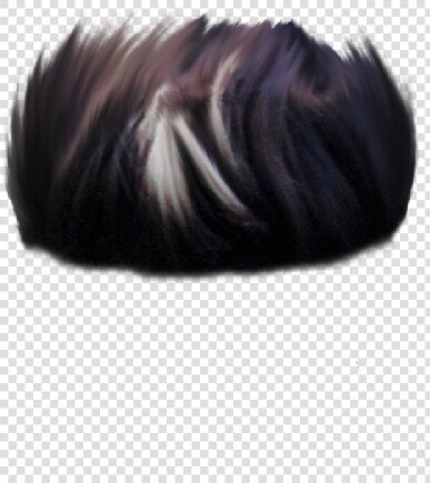 Taukeer Editz Hair Png  Transparent PngTransparent PNG