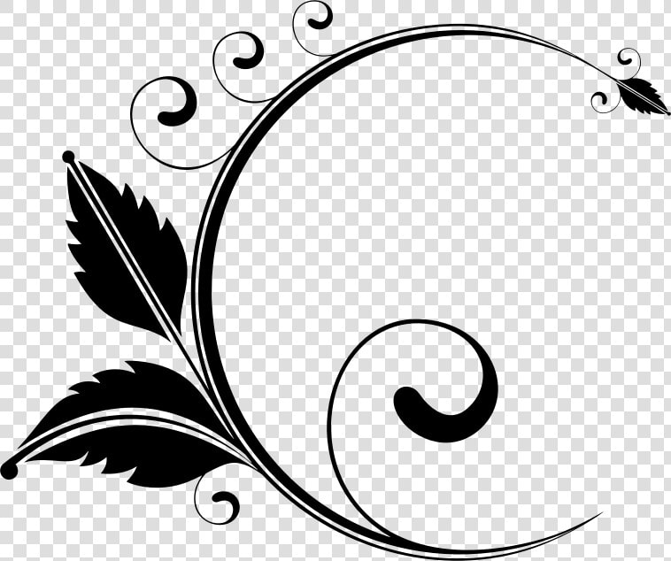 Flourish Line Png Transparent Background   Floral Design Black And White Png  Png DownloadTransparent PNG