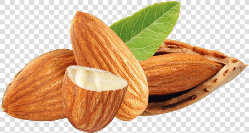 Nuts Almond Dried Fruit   Frutos Secos  HD Png DownloadTransparent PNG