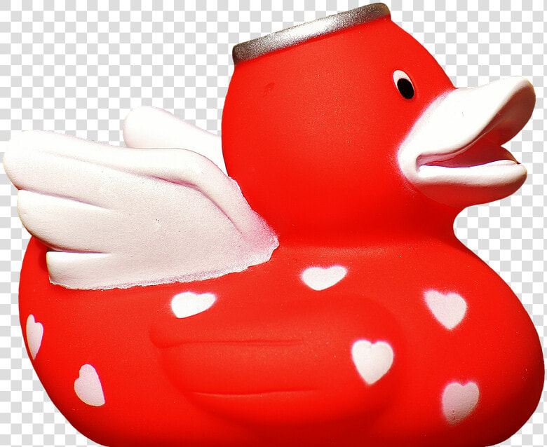 Rubber Duck Image 24  Buy Clip Art   Duck  HD Png DownloadTransparent PNG