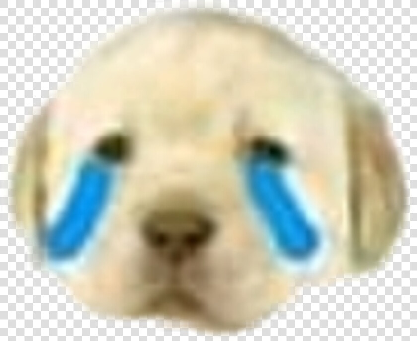 Meme Dog Sad Sticker January Lol Idk   Meme Stickers Sad  HD Png DownloadTransparent PNG