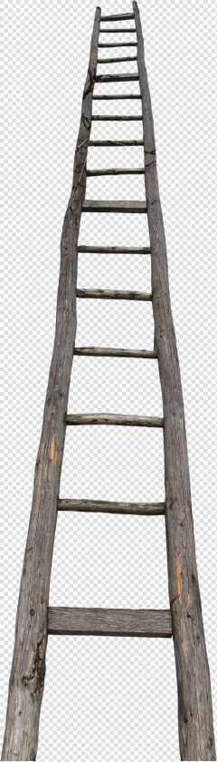 Stairs Png Image   Ladder Humor  Transparent PngTransparent PNG