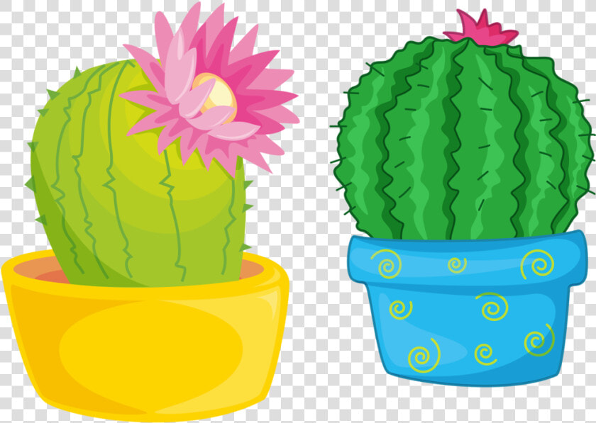 Transparent Cactus Vector Png   Cactus Flower Clipart  Png DownloadTransparent PNG