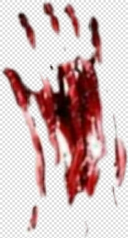 Transparent Bloody Handprint Clipart   Bloody Hand Print  HD Png DownloadTransparent PNG