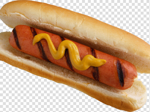 Transparent Hot Dogs Clipart   Hot Dog And Beer  HD Png DownloadTransparent PNG