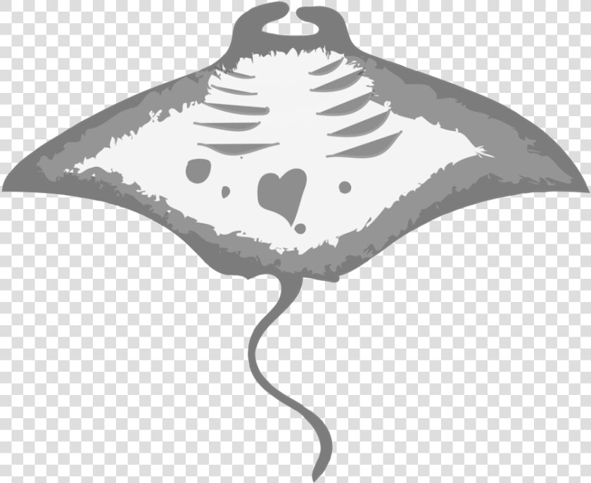 Transparent Manta Ray Png   Eagleray  Png DownloadTransparent PNG