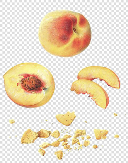 Nectarine  HD Png DownloadTransparent PNG