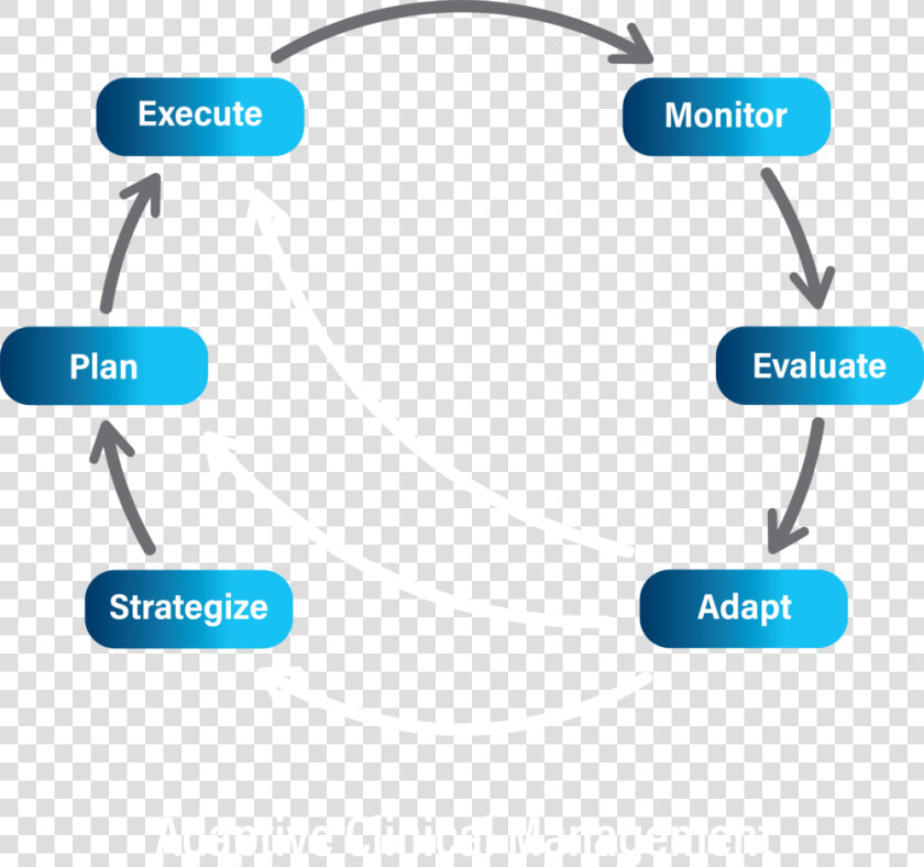 Adaptive Chart 1 31 20b   Colorfulness  HD Png DownloadTransparent PNG