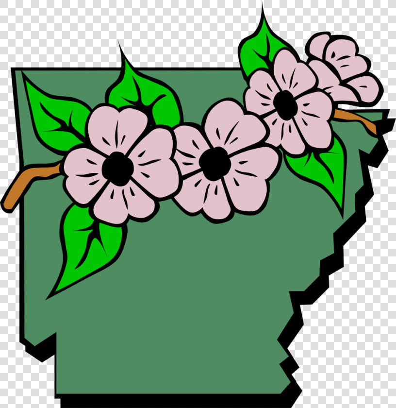 Arkansas Map And Flowers   Drawing Arkansas State Flower  HD Png DownloadTransparent PNG