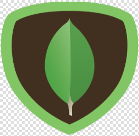 Mongodb Icon  HD Png DownloadTransparent PNG