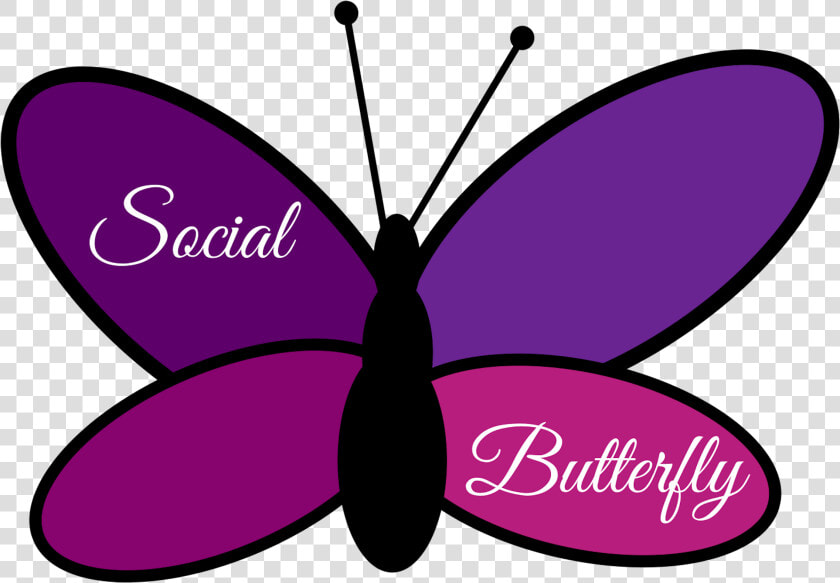 Brush footed Butterfly  HD Png DownloadTransparent PNG