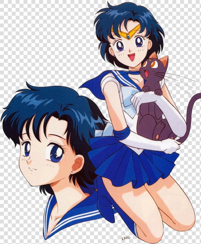 Transparent Sailor Mercury Png   Sailor Mercury And Luna  Png DownloadTransparent PNG