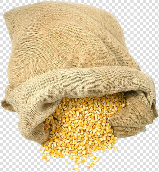 Bag Of Maize   Portable Network Graphics  HD Png DownloadTransparent PNG