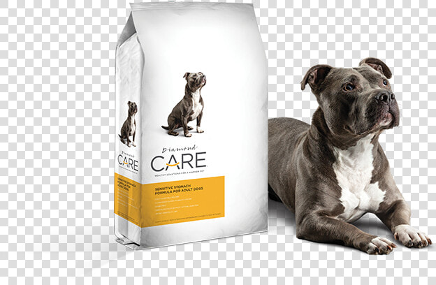 Diamond Care Sensitive Stomach Formula Limited Ingredient   Diamond Care Adult Sensitive Skin Formula Dry Dog Food  HD Png DownloadTransparent PNG