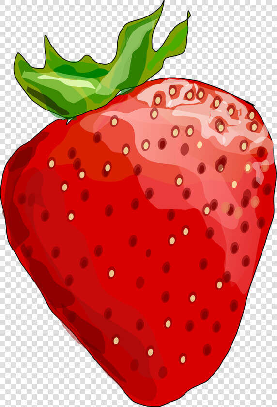 Strawberry   Strawberry Clipart Transparent Background  HD Png DownloadTransparent PNG