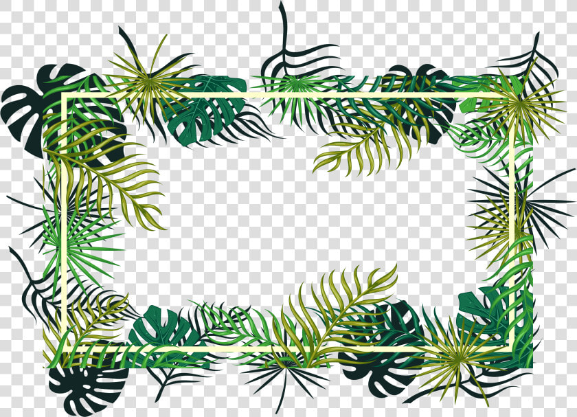 Tropical Vector Ornament   Transparent Background Tropical Png  Png DownloadTransparent PNG