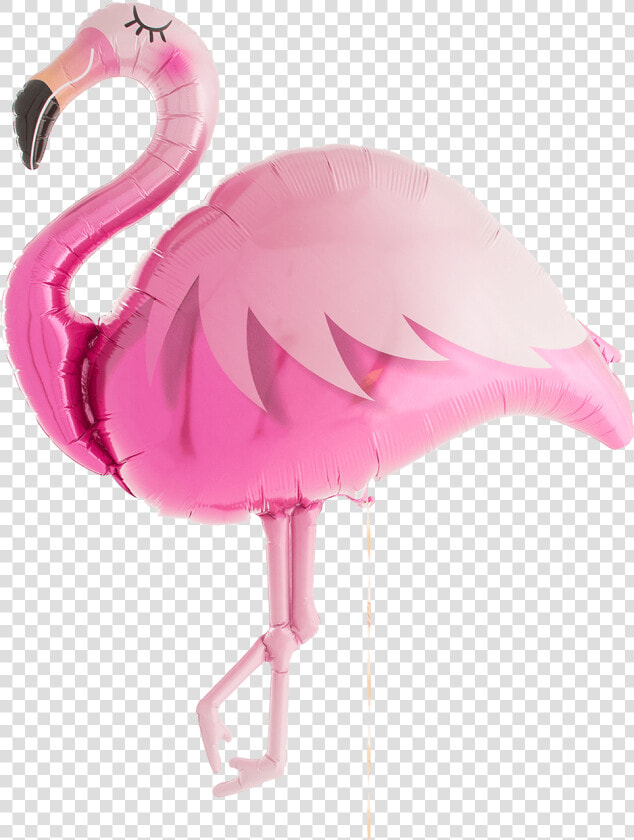 Hot Pink Flamingo Supershape  HD Png DownloadTransparent PNG