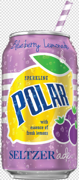 Polar Seltzer Can Flavors  HD Png DownloadTransparent PNG