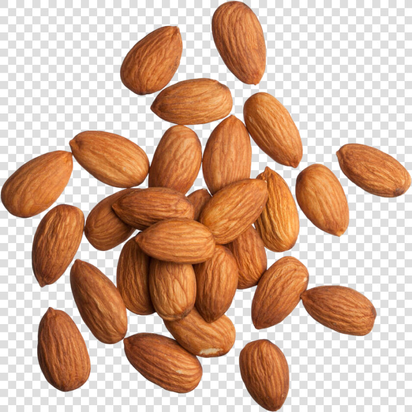 Almond Background Png   Almond  Transparent PngTransparent PNG