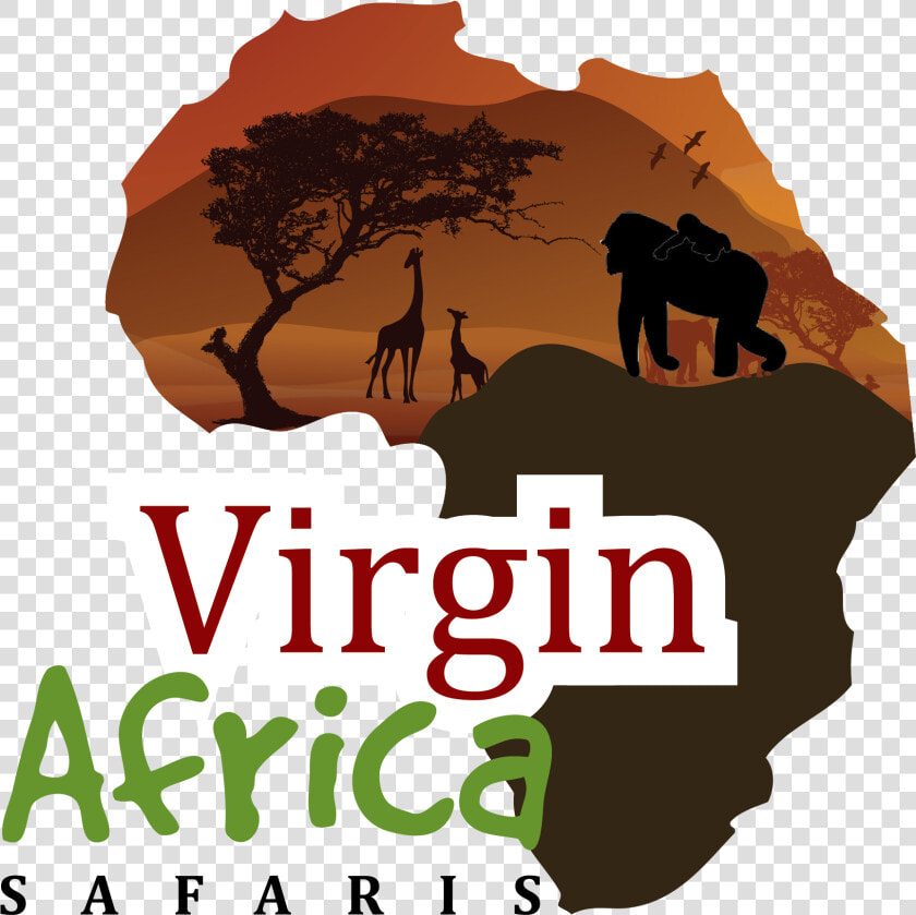 Virgin Africa Safaris   Tree  HD Png DownloadTransparent PNG