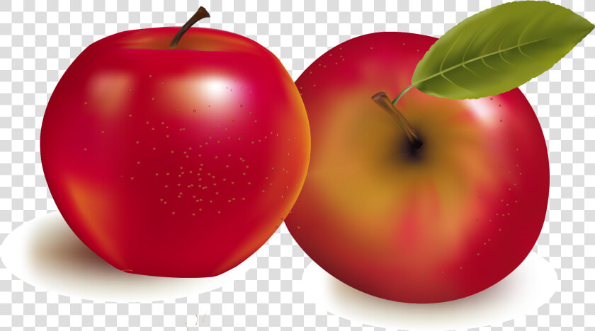 Fruit Royalty Free Stock Photography Illustration  HD Png DownloadTransparent PNG